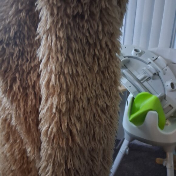 Boutique J. Renee Shaggy Tan Faux Fur Long Coat - Picture 14 of 14